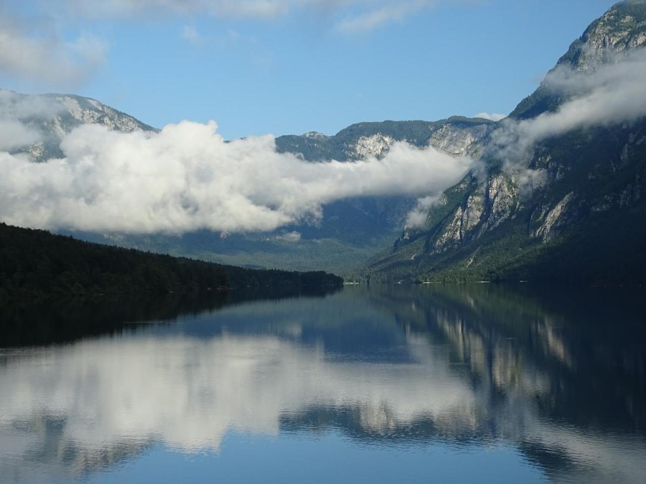Apartma Kosnik Bohinj Eksteriør bilde