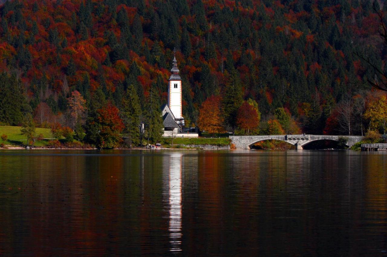 Apartma Kosnik Bohinj Eksteriør bilde